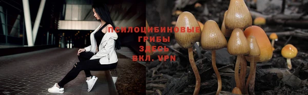 ECSTASY Дедовск