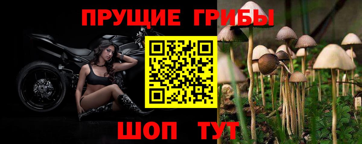 Галлюциногенные грибы мухоморы  Вход с VPN  Псилоцибиновые грибы Magic Shrooms  как найти наркотики  Дальнереченск 